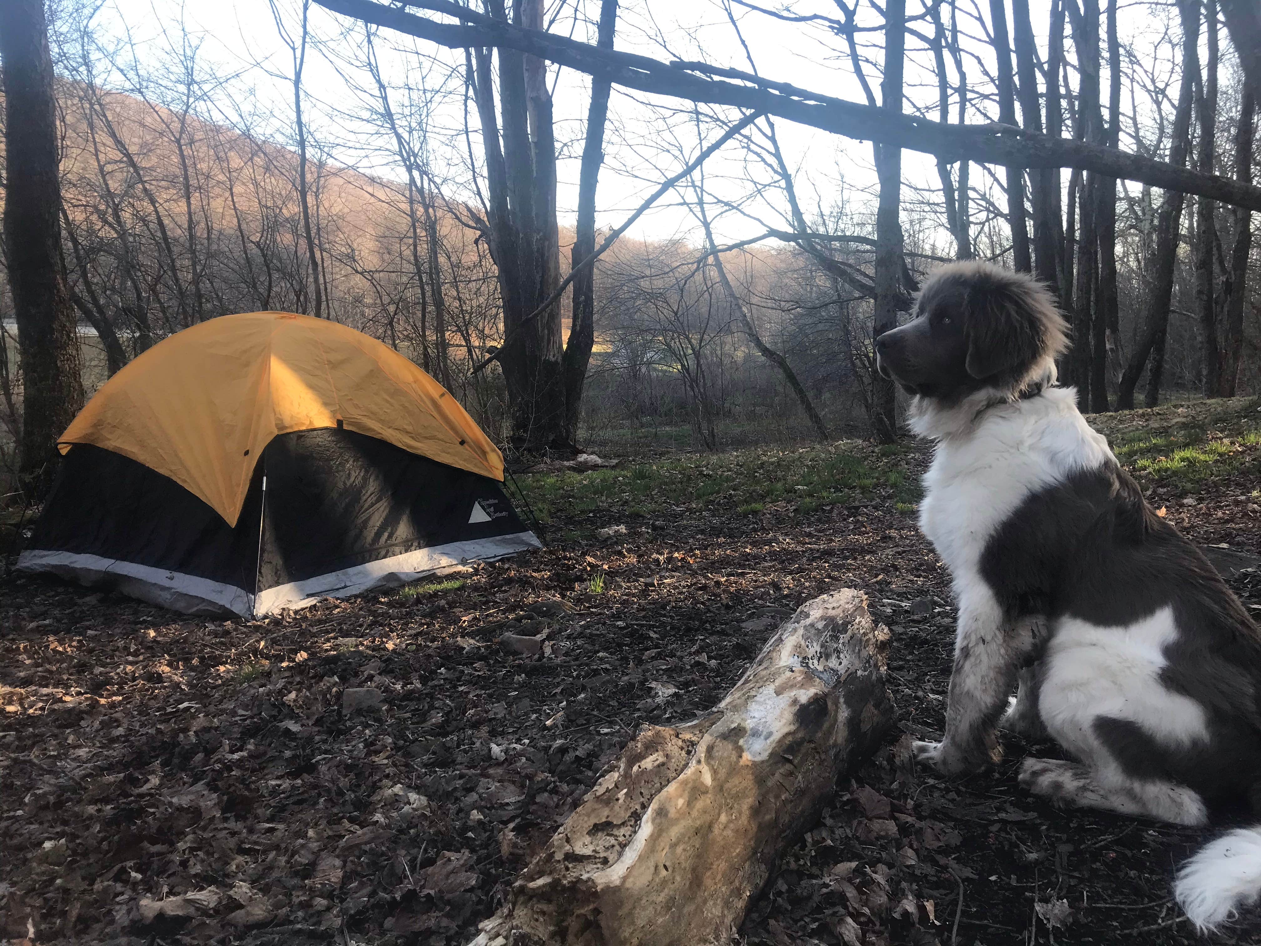 Camper submitted image from Alder lake - 1