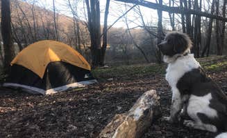 Nora S.'s photo at Alder lake in New York