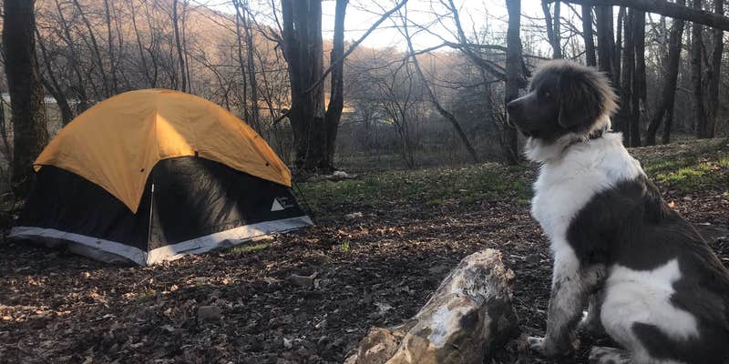 Camper submitted image from Alder lake