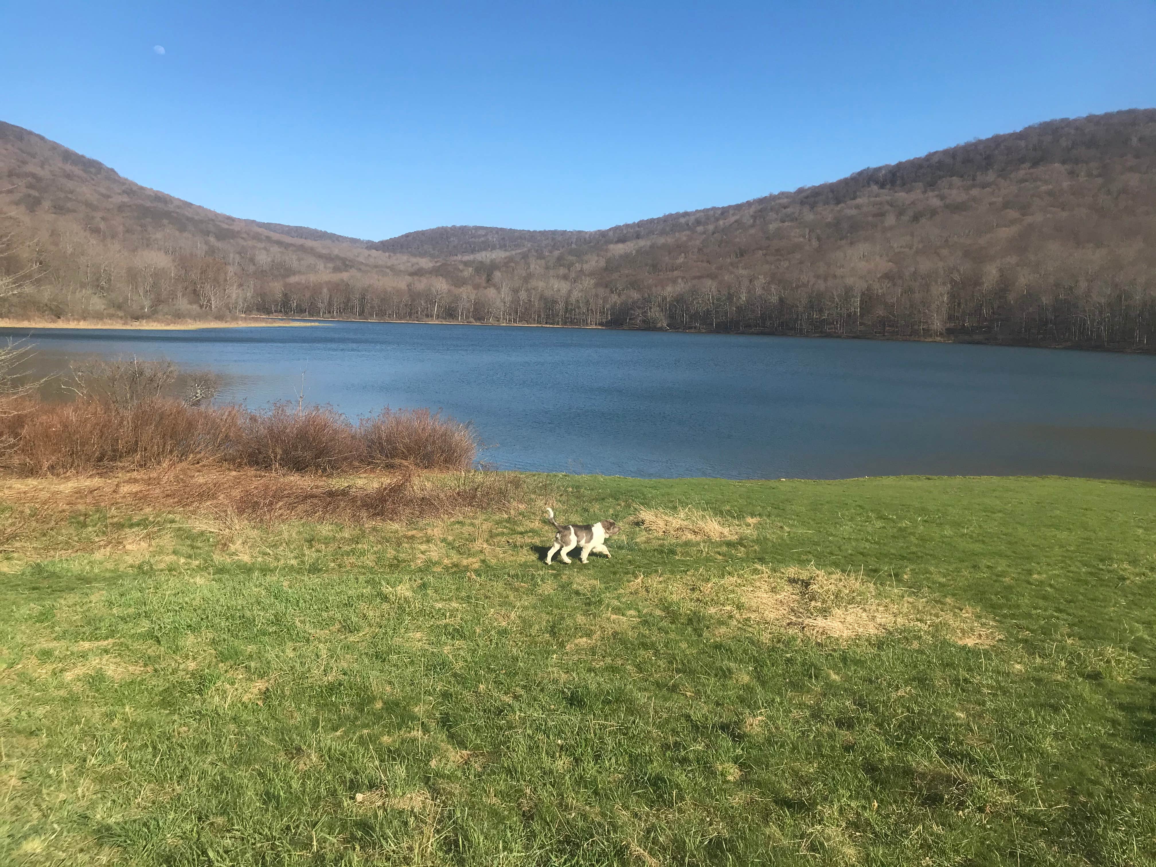 Camper-submitted photo at Alder lake near Bloomville, NY