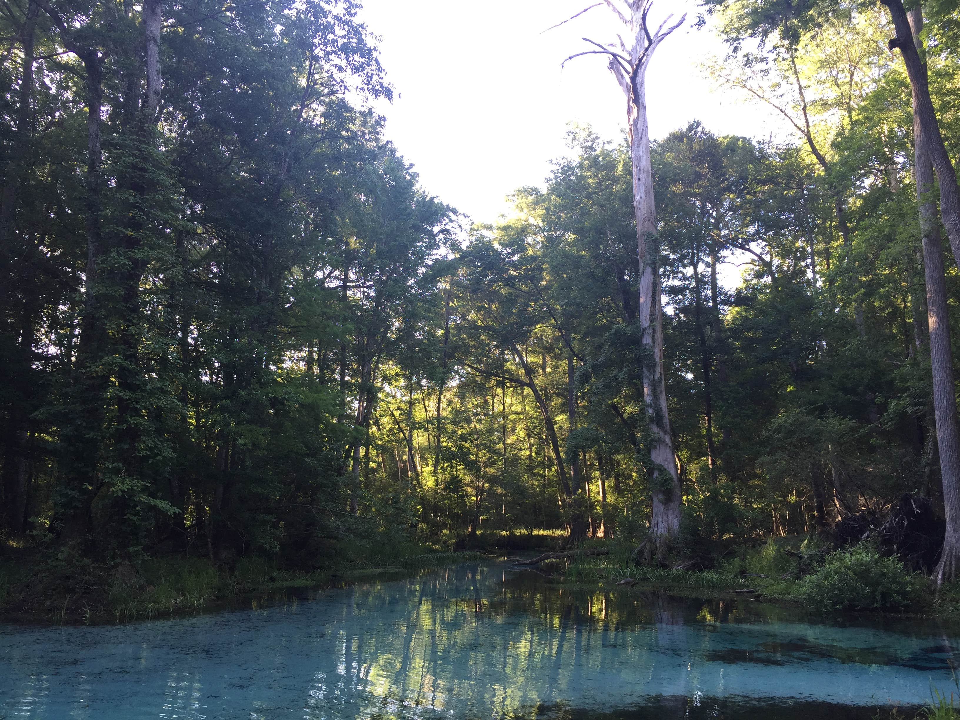 Camper-submitted photo at Ruth B. Kirby Gilchrist Blue Springs State Park Campground near High Springs, FL