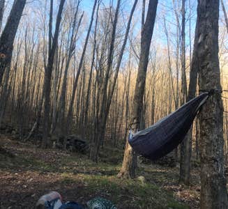 Camper-submitted photo from Rip Van Winkle Campgrounds