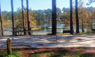 Camping near Lakeview Campsites: Sand Pond Campground - Pine Log State Forest, Ebro, Florida