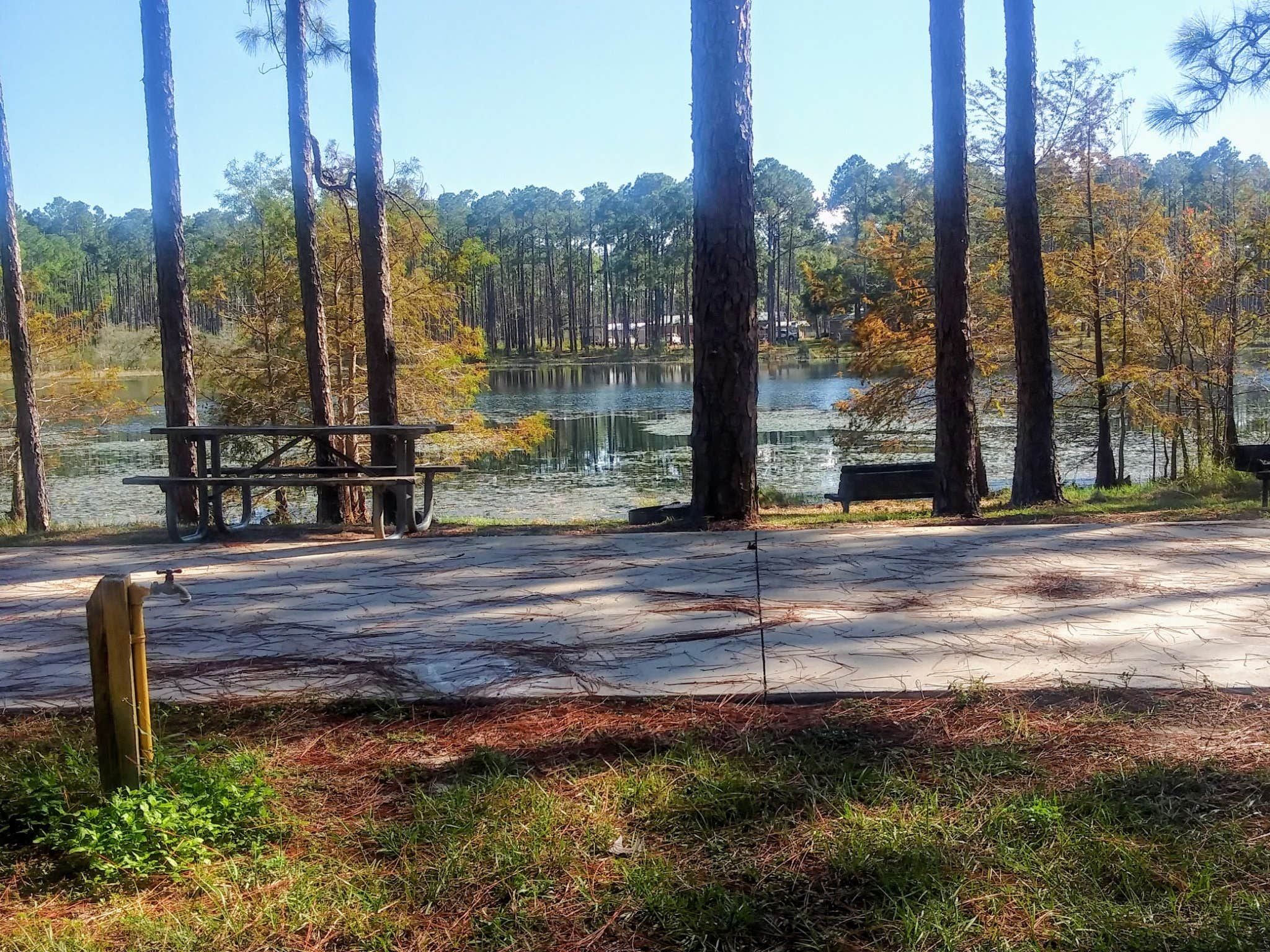 Camper submitted image from Sand Pond Campground - Pine Log State Forest - 1