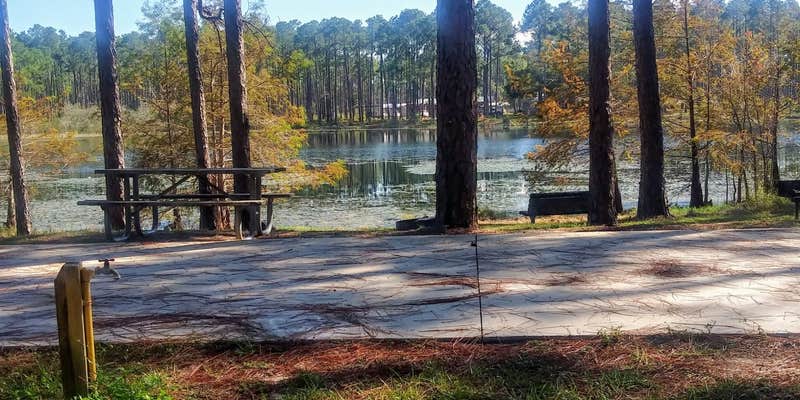 Camper submitted image from Sand Pond Campground — Pine Log State Forest
