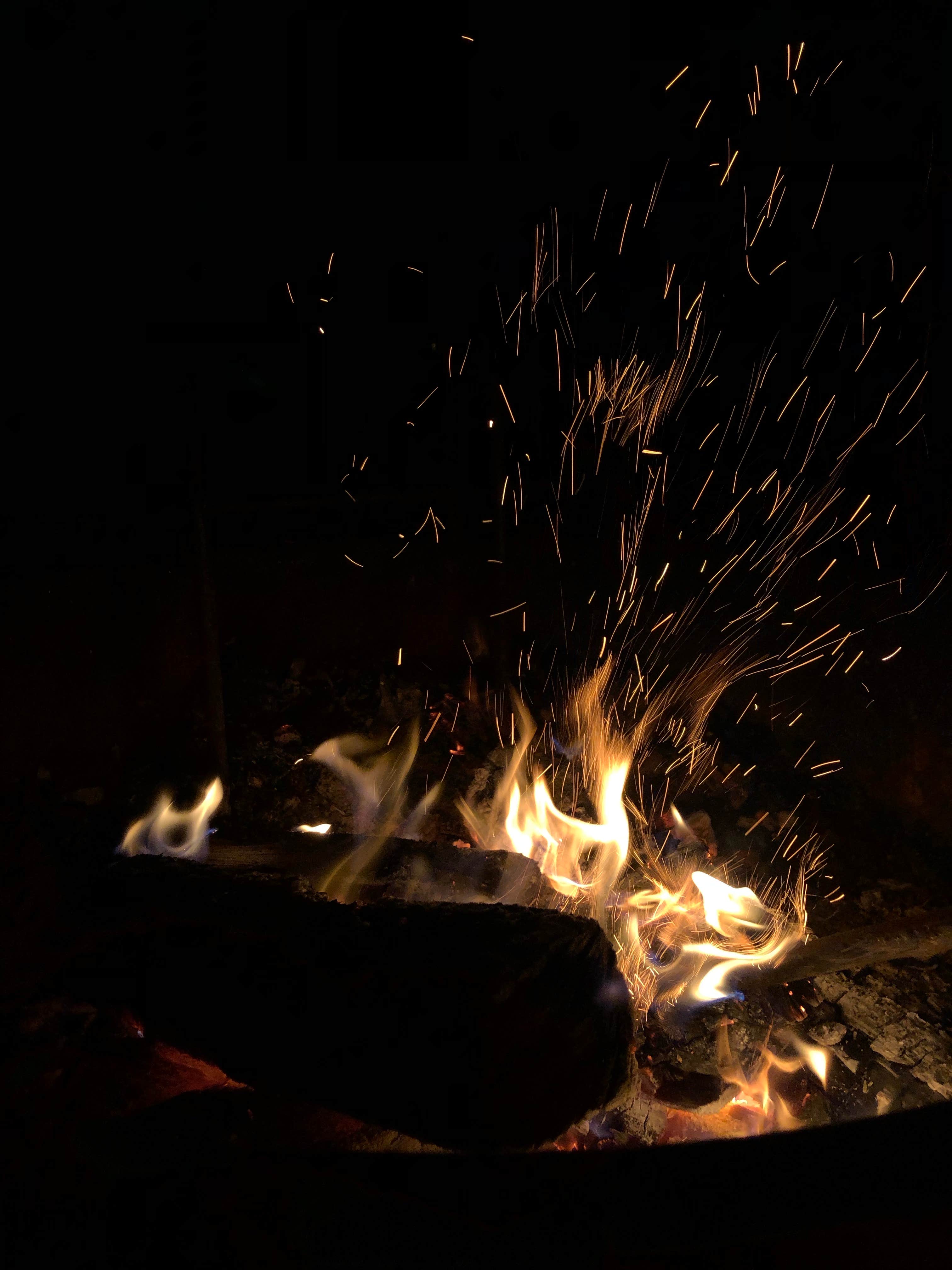 Linda L.'s photo of camping with pets at Eads Bluff Farm near Harrison, TN