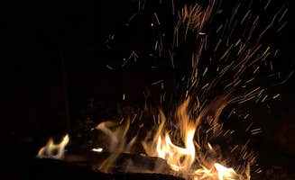 Linda L.'s photo of camping with pets at Eads Bluff Farm near Sale Creek, TN