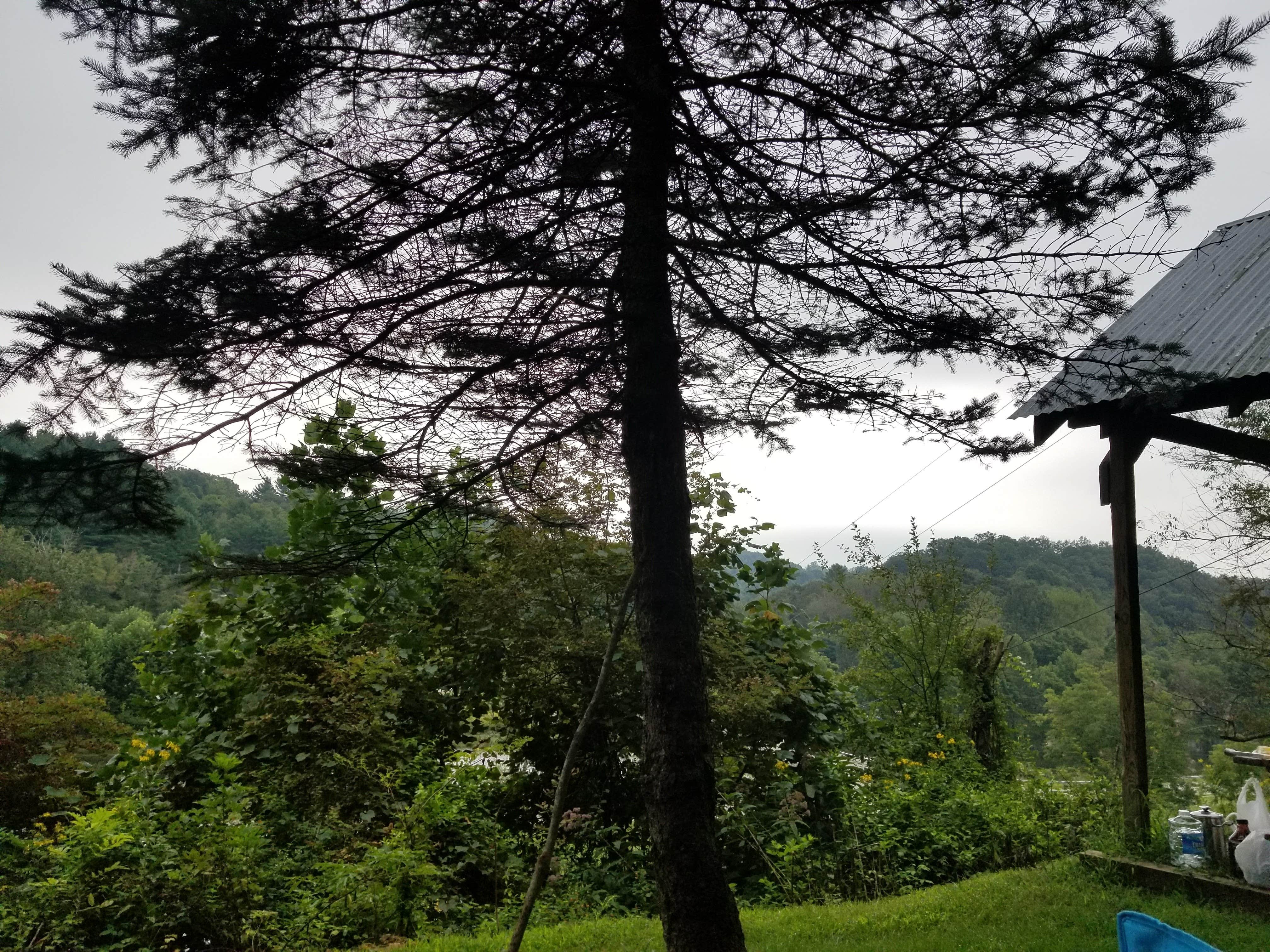 Camper-submitted photo at Riverside Canoe and Campground near Elk Creek, VA