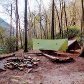 Review photo of Linville Gorge Wilderness Dispersed Camping--Western Section, NC 128 he by Julie L., April 16, 2021