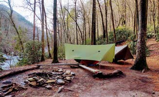 Julie L.'s photo of a dispersed camping area at Linville Gorge Wilderness Dispersed Camping--Western Section, NC 128 he near West Jefferson, NC