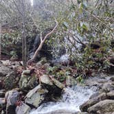 Review photo of Linville Gorge Wilderness Dispersed Camping--Western Section, NC 128 he by Julie L., April 16, 2021