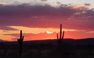 Jamie P.'s photo of a dispersed camping area at Cactus Forest Dispersed near Mount Lemmon, AZ