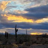 Review photo of Cactus Forest Dispersed by Jamie P., April 24, 2021