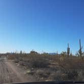 Review photo of Cactus Forest Dispersed by Jamie P., April 24, 2021