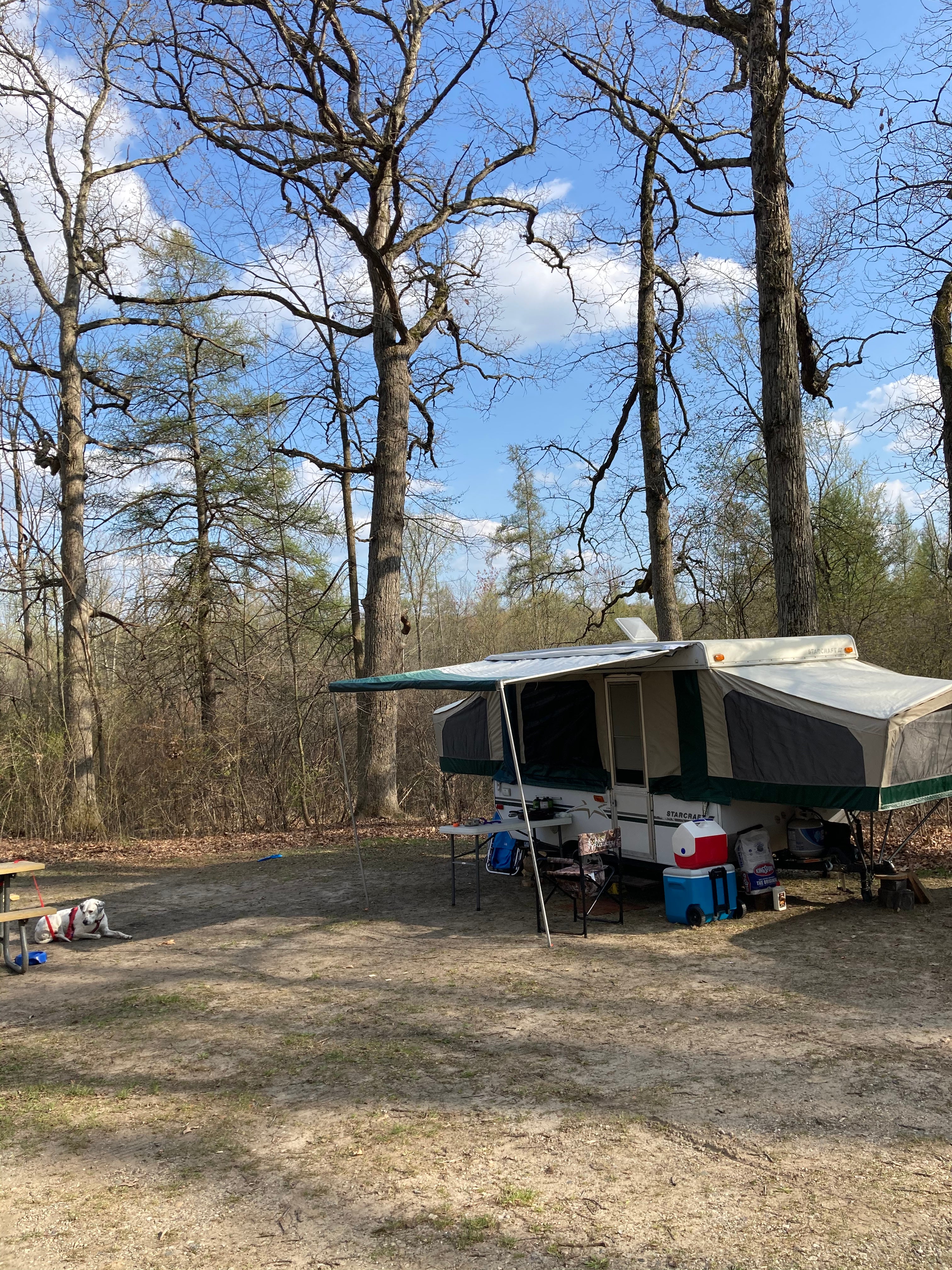 Camper submitted image from Appleton Lake Campground - 5