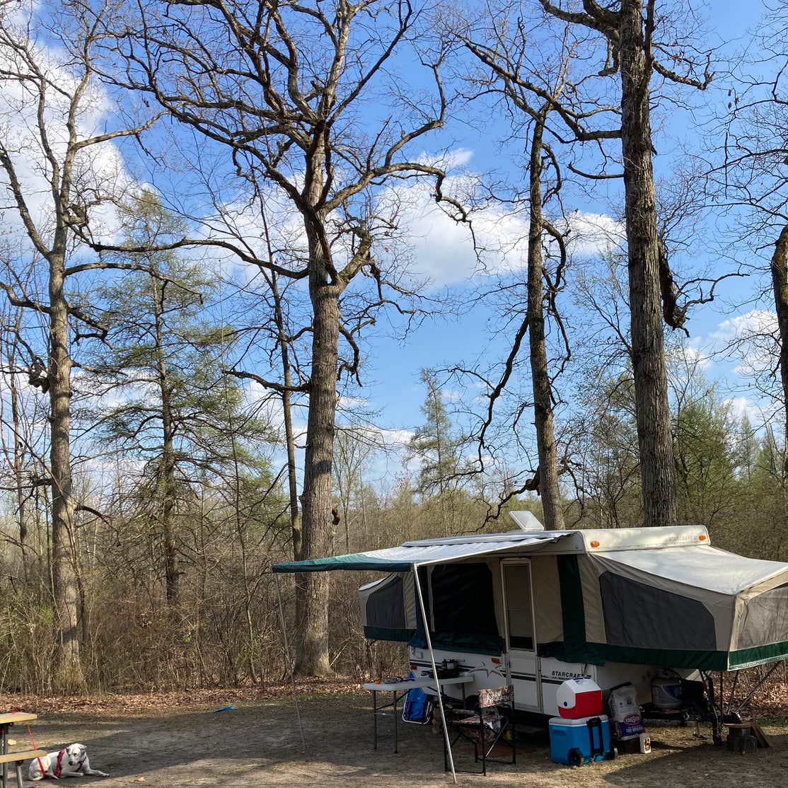 Appleton Lake Campground | Brighton, MI