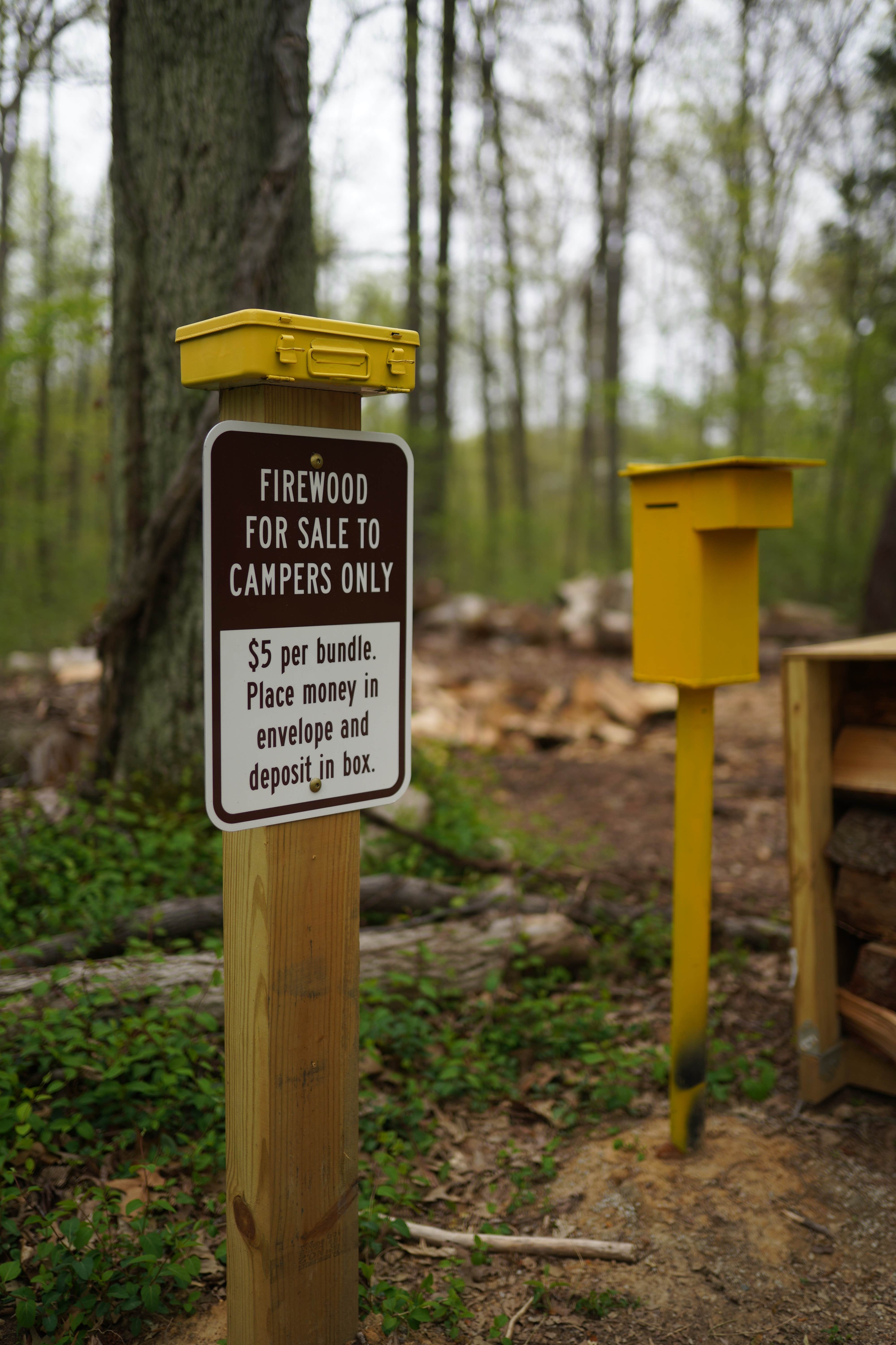 Camper submitted image from Blackbird State Forest Campground - 4