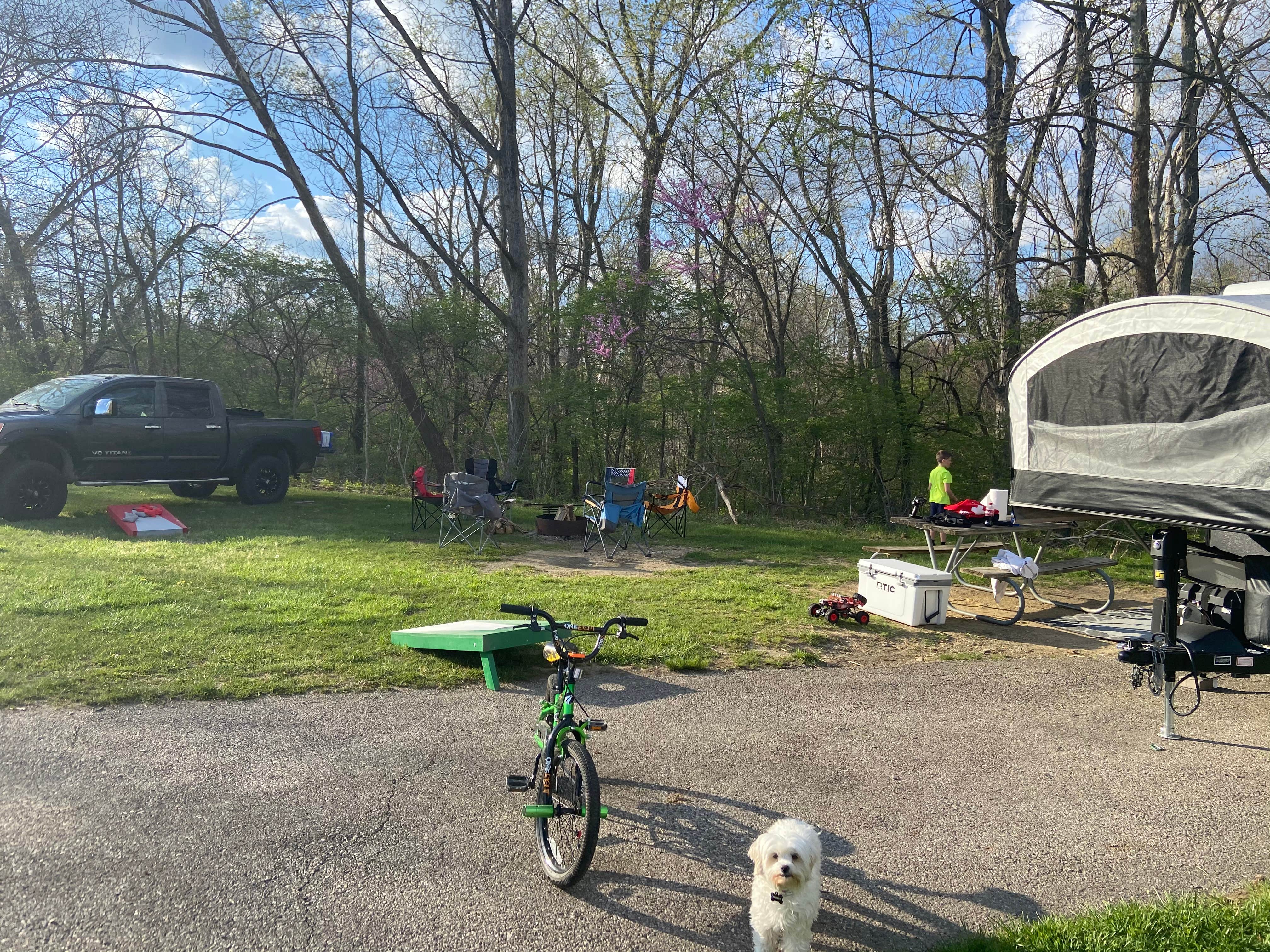 Elana C.'s photo of camping with pets at Caesar Creek State Park Campground near Belmont, OH