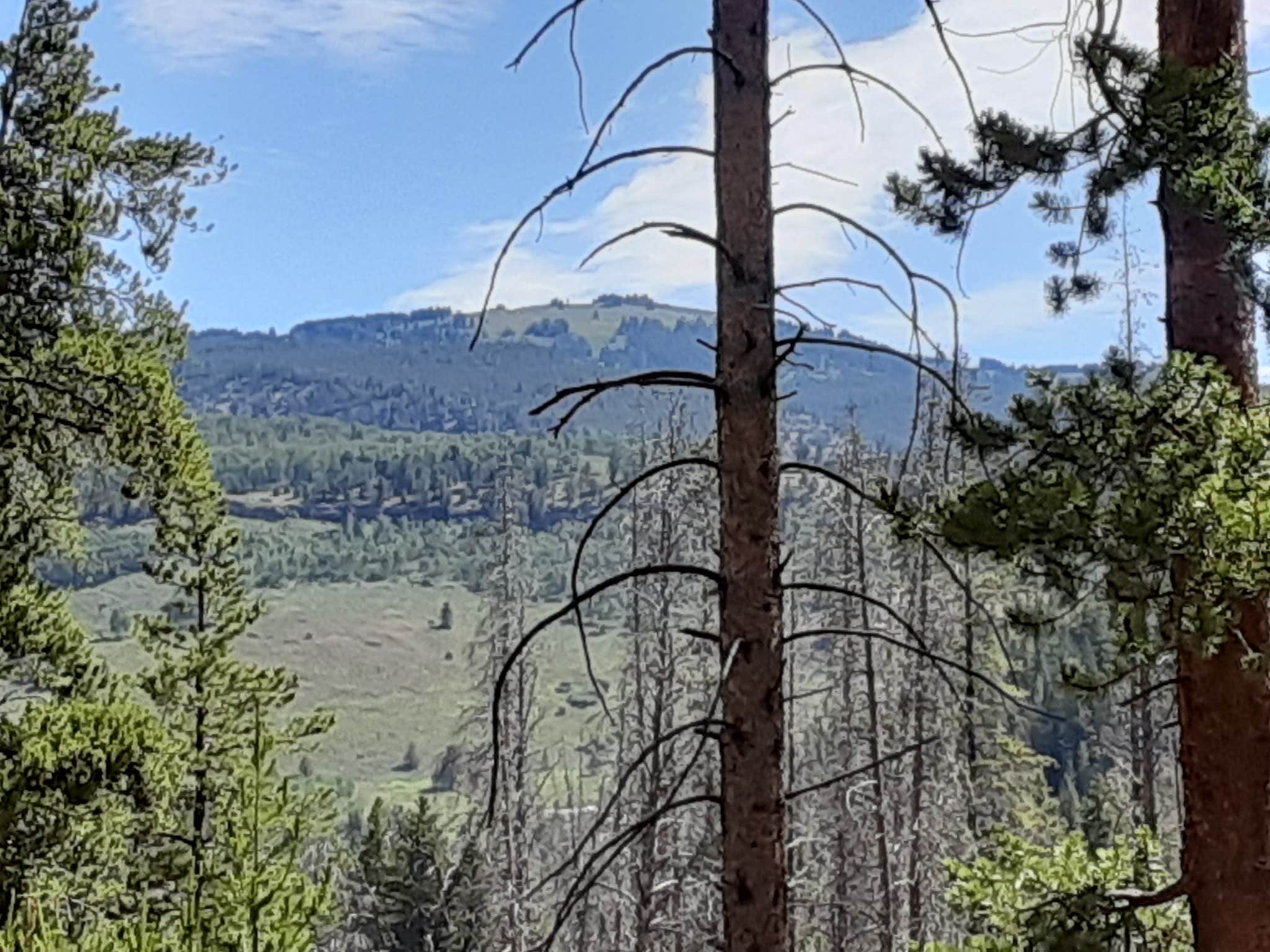 Camper submitted image from Homestake Road Dispersed - CO - 5