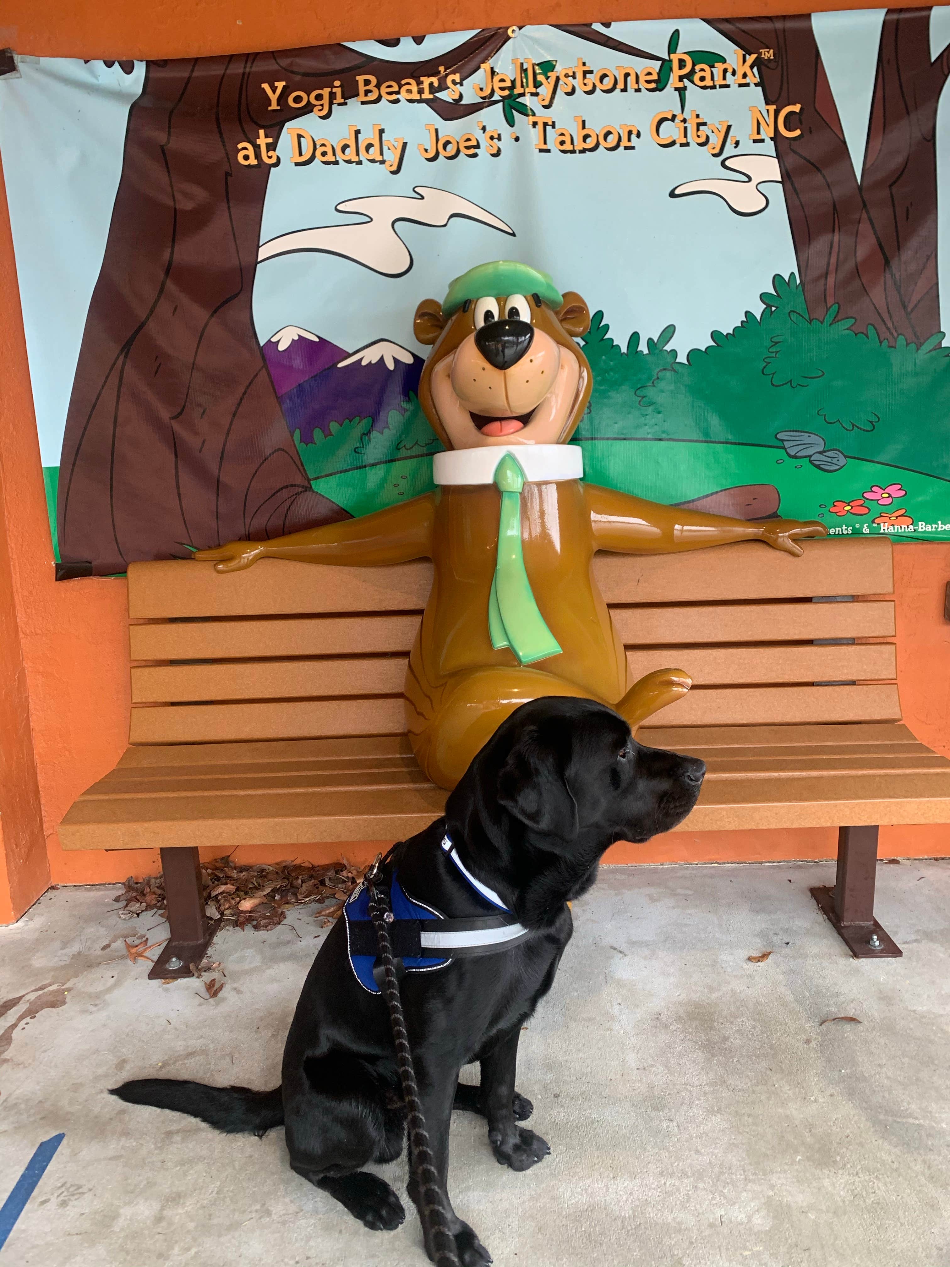 Małgorzata R.'s photo of camping with pets at Yogi Bear's Jellystone Park at Daddy Joe's near Nichols, SC