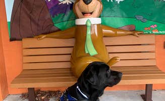 Małgorzata R.'s photo of camping with pets at Yogi Bear's Jellystone Park at Daddy Joe's in North Carolina