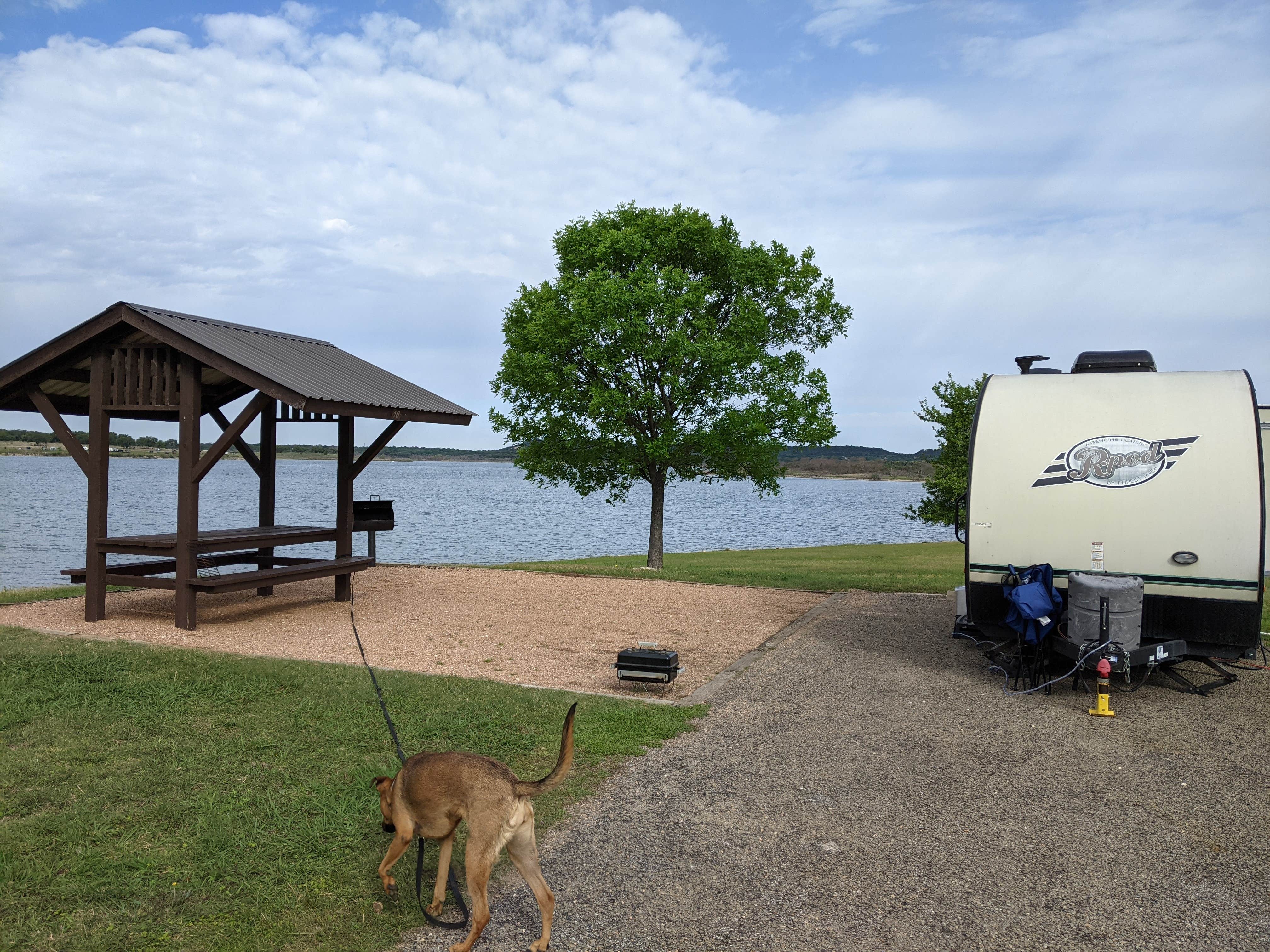 Laura F.'s photo of camping with pets at COE Stillhouse Hollow Lake Dana Peak Park near Copperas Cove, TX