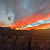 Review photo of Superstition Mountains -- Dispersed Sites along Hwy 88 by Shari  G., April 25, 2021