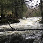 Review photo of Lower Lake Campground Northwoods Area — Promised Land State Park by PhiladelphiaKaley R., June 1, 2018