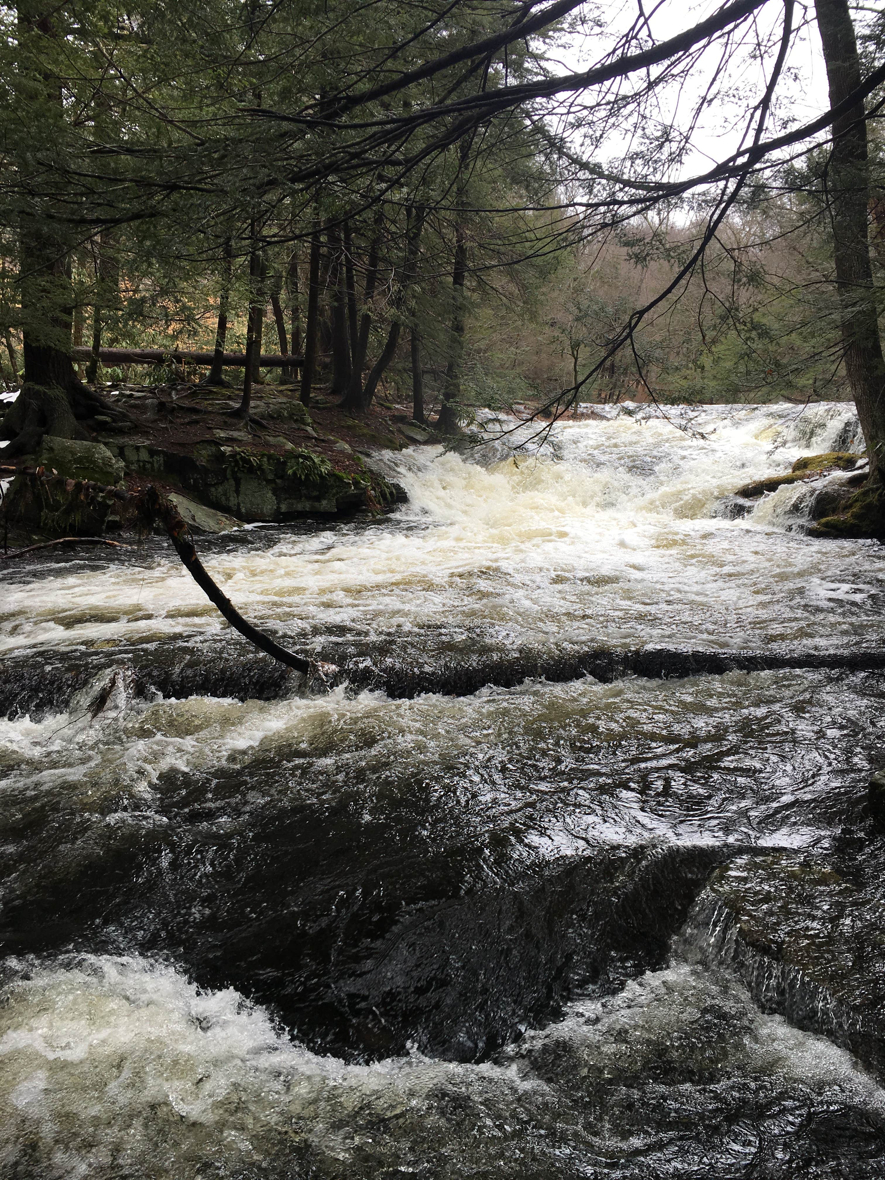 Camper submitted image from Lower Lake Campground Northwoods Area — Promised Land State Park - 3