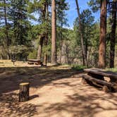 Review photo of Upper Tonto Creek — Tonto National Forest by Shari  G., April 25, 2021
