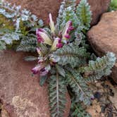 Review photo of Upper Tonto Creek — Tonto National Forest by Shari  G., April 25, 2021