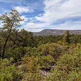 Review photo of Upper Tonto Creek — Tonto National Forest by Shari  G., April 25, 2021