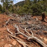 Review photo of Upper Tonto Creek — Tonto National Forest by Shari  G., April 25, 2021