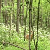 Review photo of Raymond B. Winter State Park Campground by PhiladelphiaKaley R., June 1, 2018