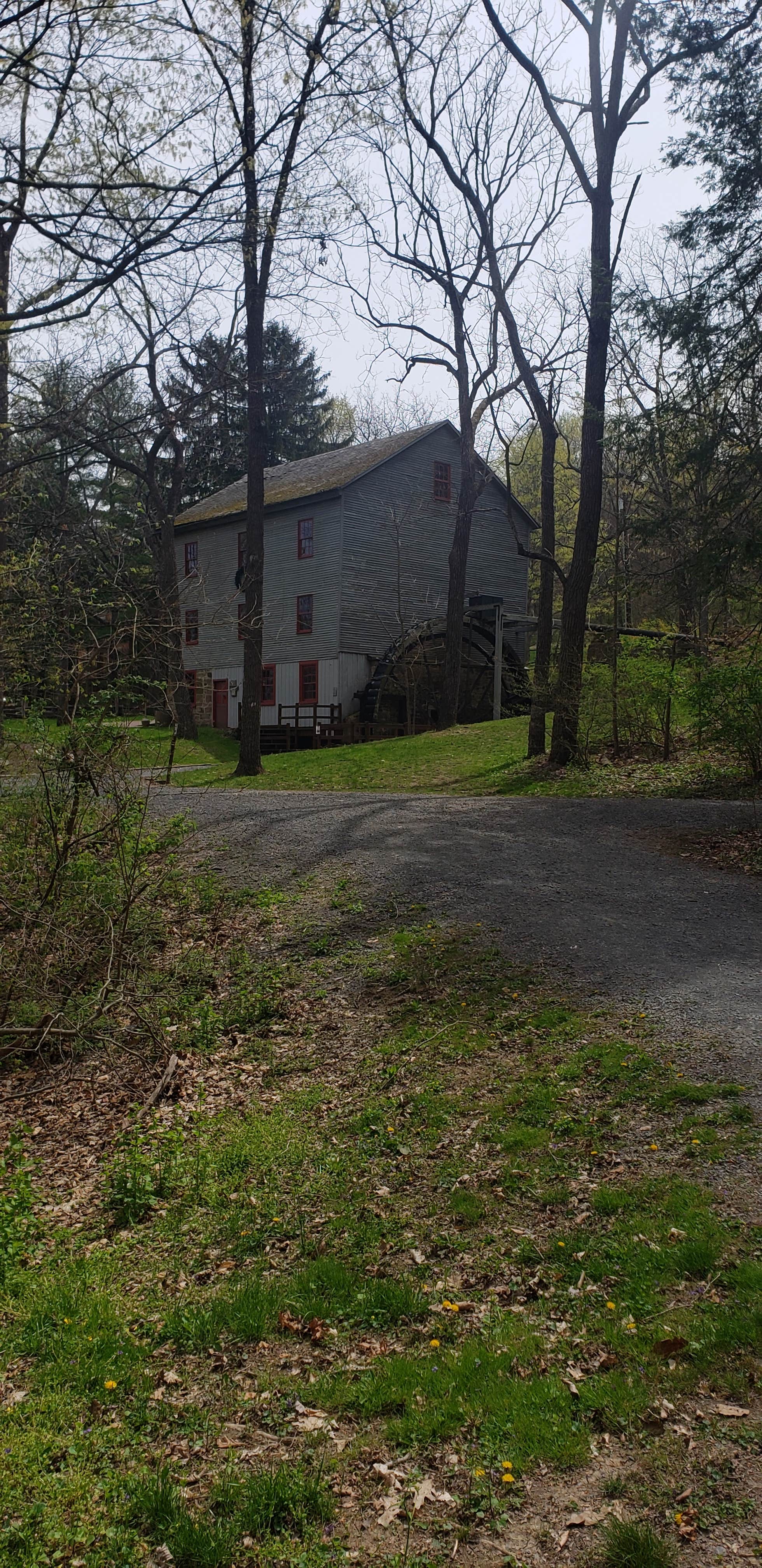 Camper submitted image from Little Buffalo State Park Campground - 1