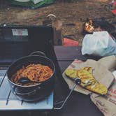 Review photo of Monadnock State Park Campground by PhiladelphiaKaley R., June 1, 2018