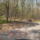 Review photo of French Creek State Park Campground by Laure D., April 24, 2021