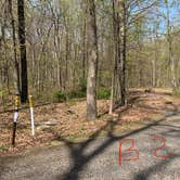 Review photo of French Creek State Park Campground by Laure D., April 24, 2021