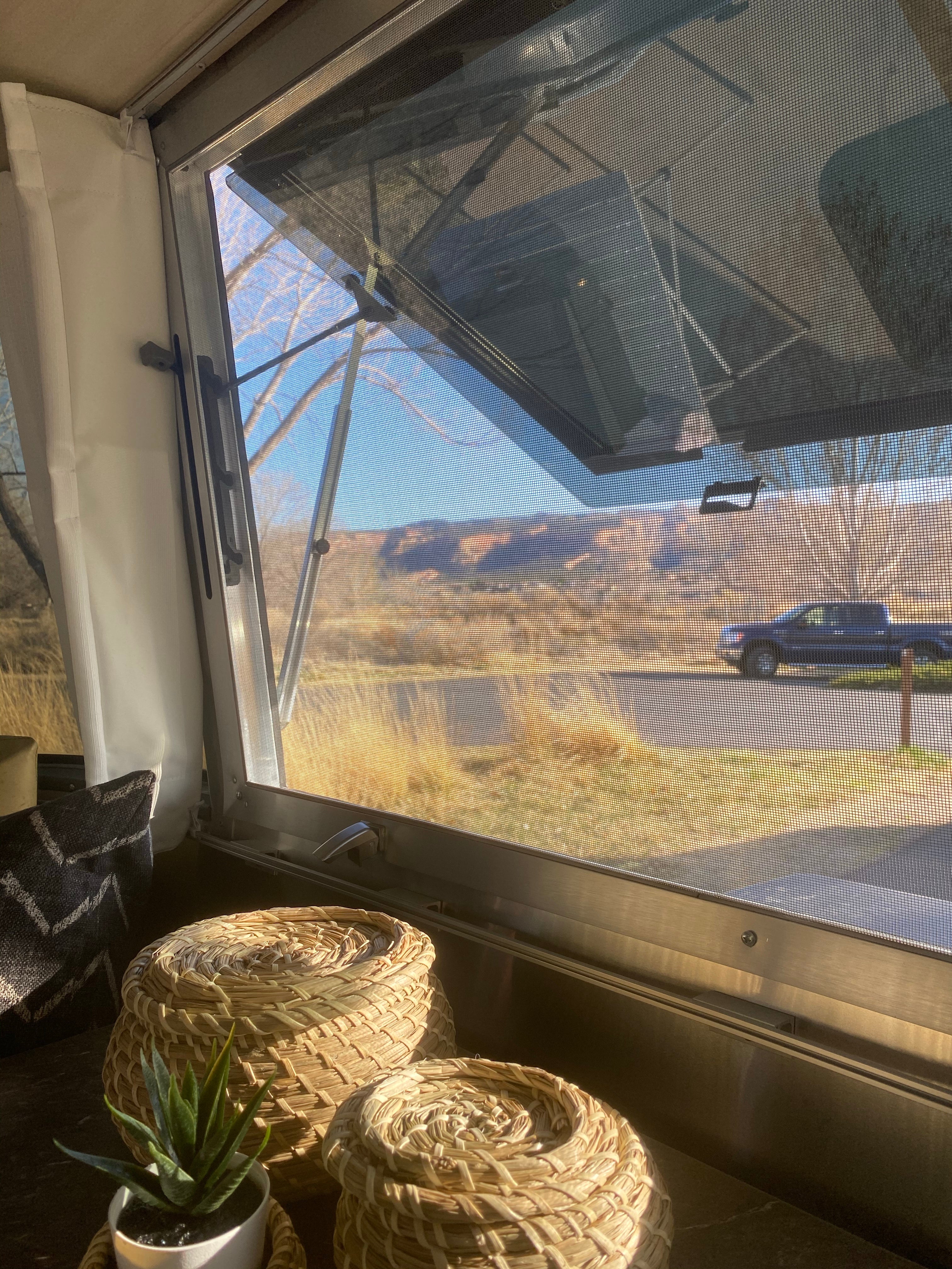 Camper submitted image from Fruita Section Camping — Colorado River - 5