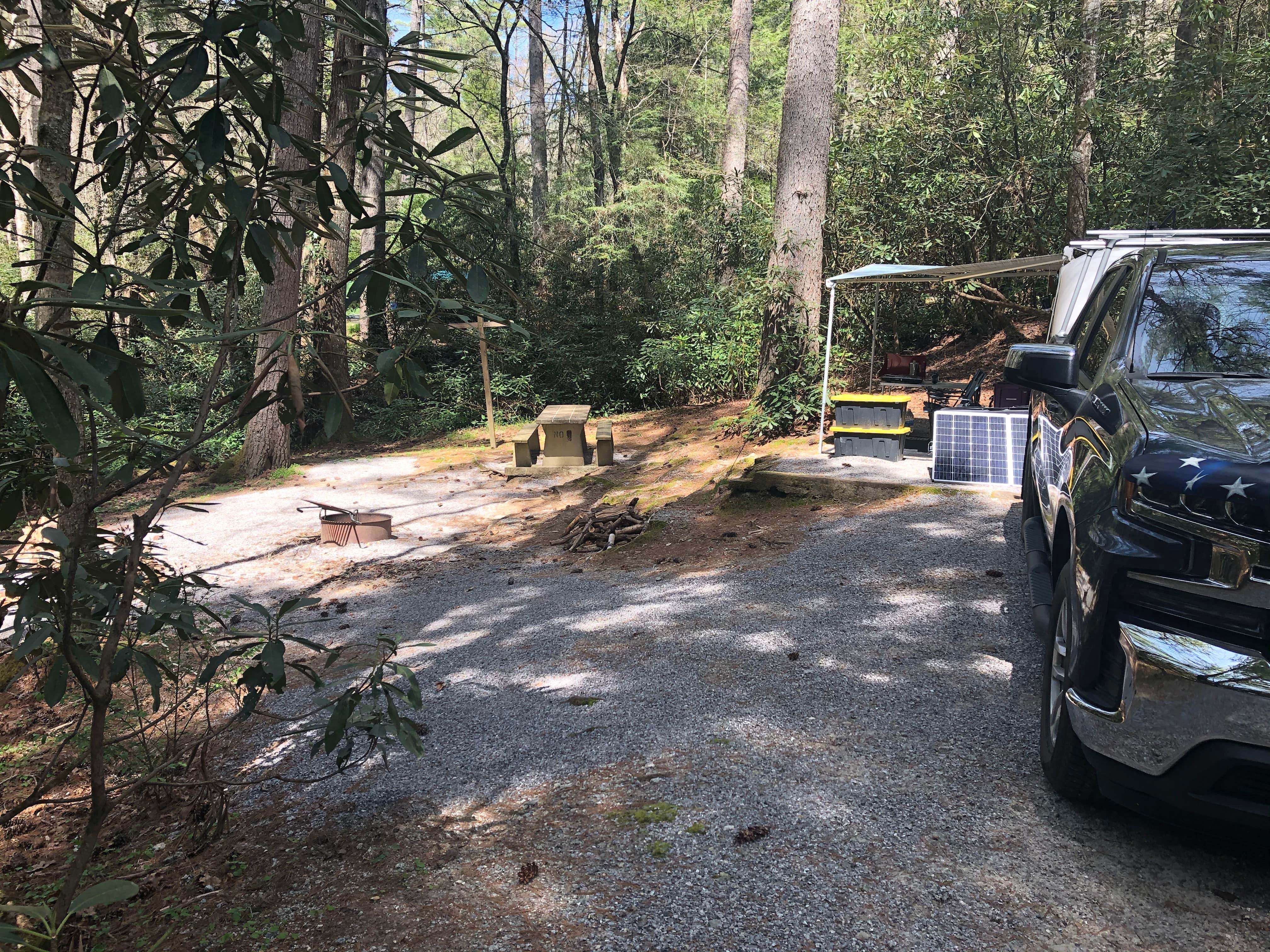 Van Hook Glade The Dyrt