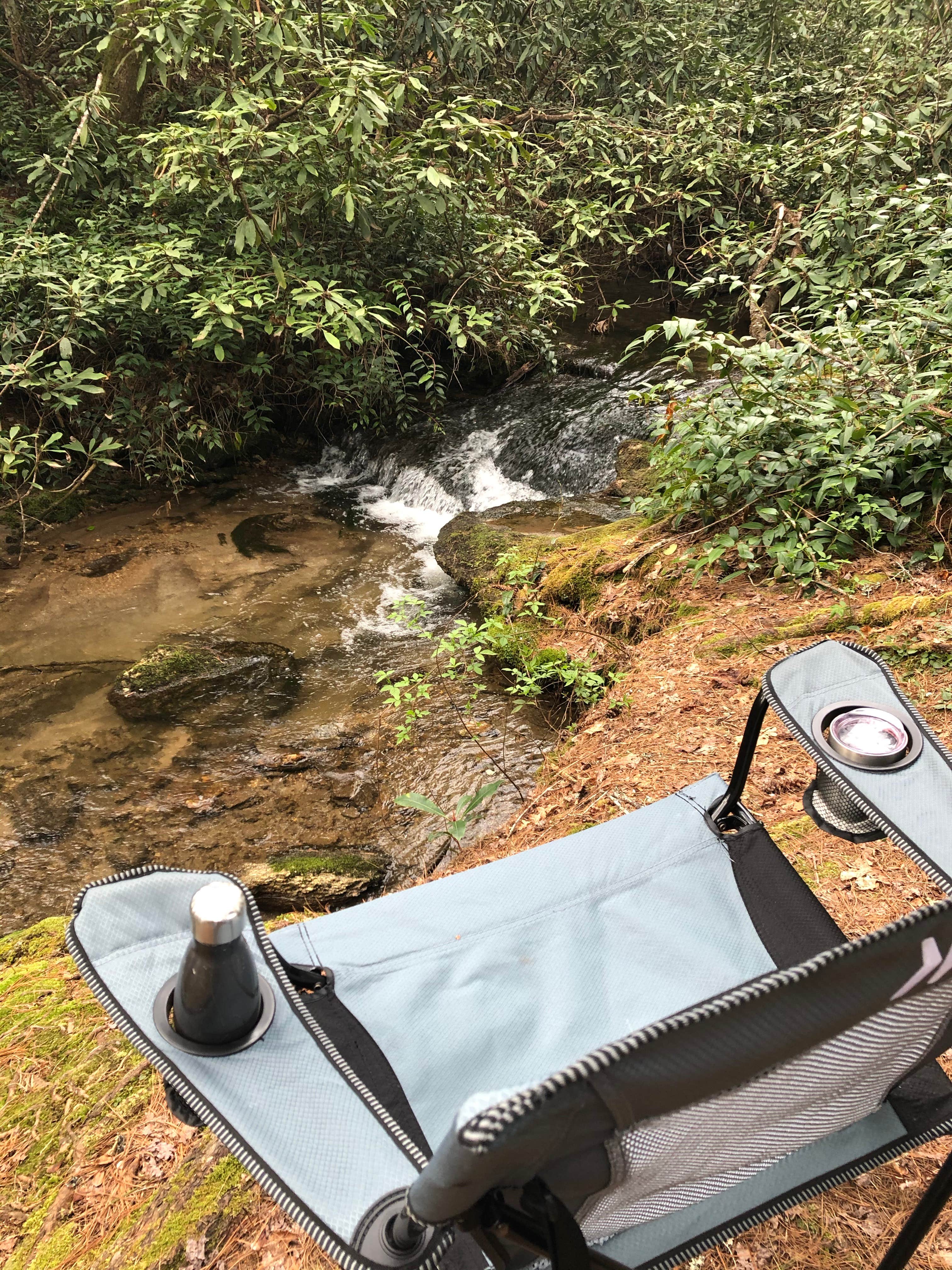 Camper submitted image from Van Hook Glade - 4