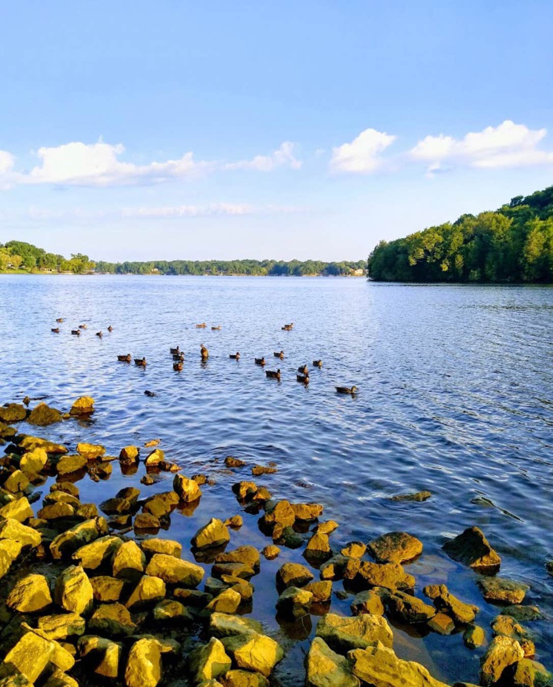 Camper-submitted photo at Shutes Branch near Hendersonville, TN