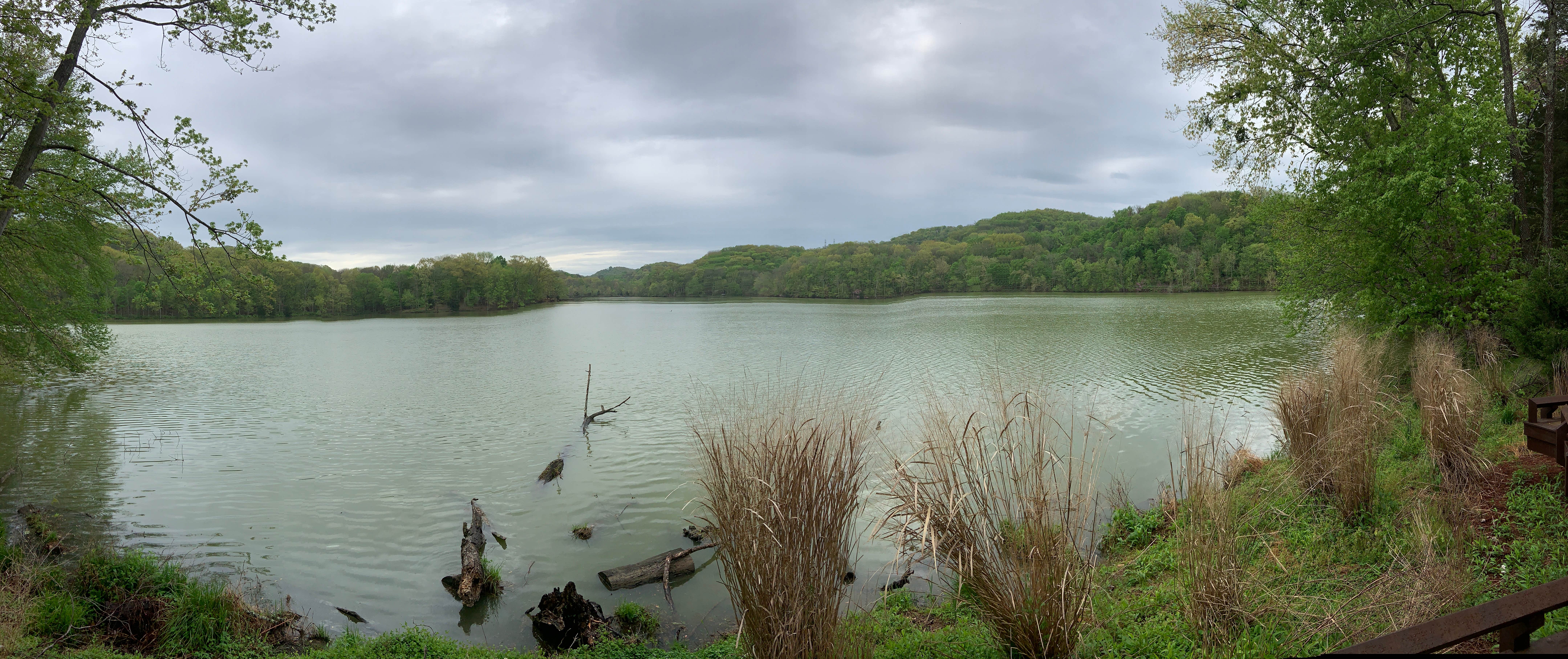 Camper-submitted photo at Shutes Branch near Hendersonville, TN
