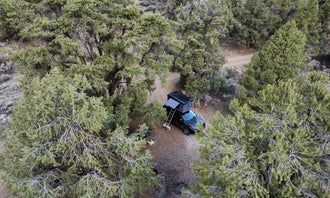 Camping near Topaz Lake Recreation Area: Desert Creek Campground, Coleville, Nevada