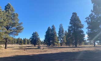 Camping near Spruces Campground (Dixie NF): Uinta Flat Dispersed, Duck Creek Village, Utah