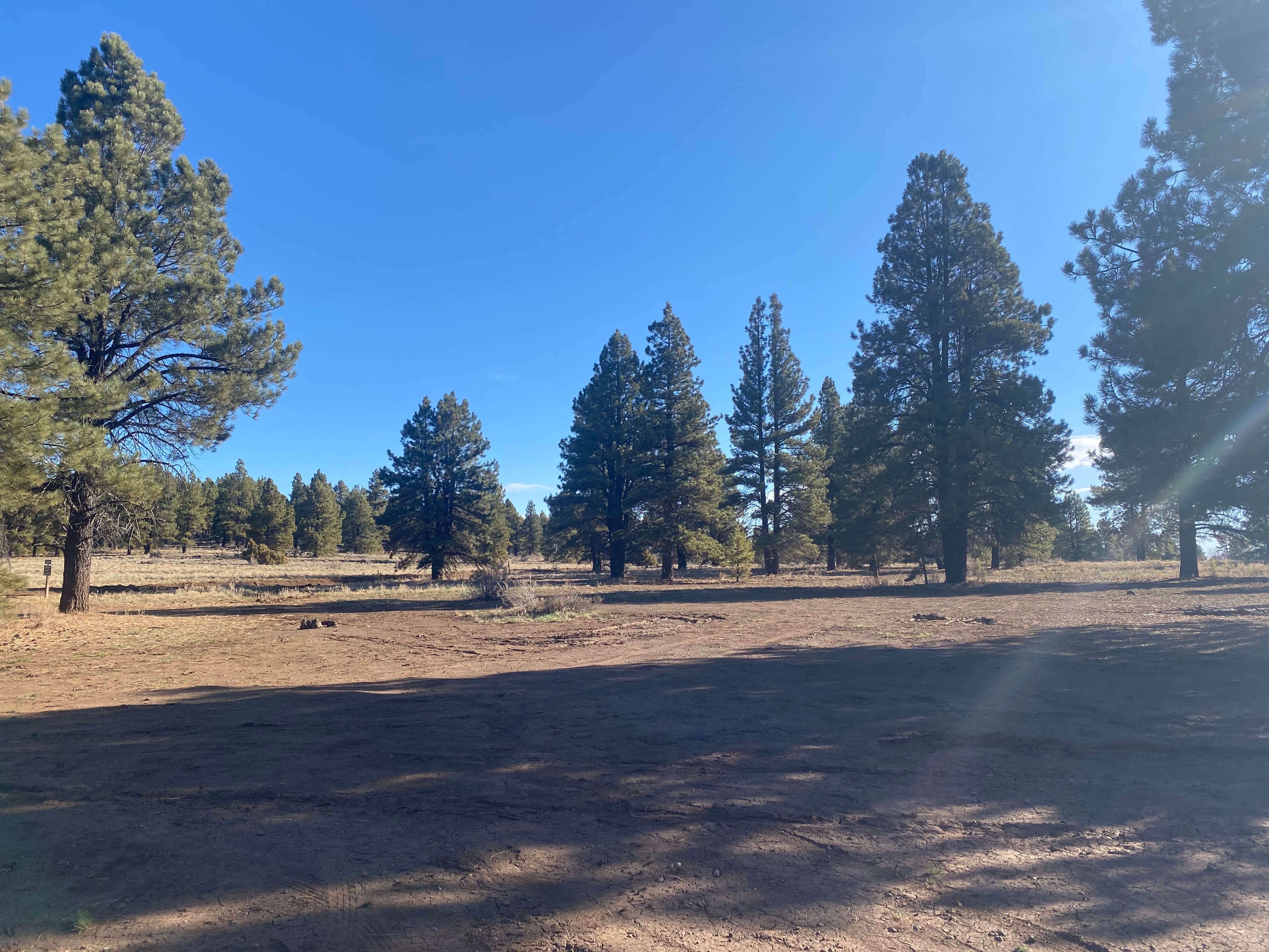 Camper submitted image from Uinta Flat Dispersed - 1