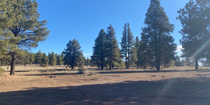 Camper submitted image from Uinta Flat Dispersed