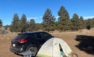 Marshall M.'s photo at Uinta Flat Dispersed near Duck Creek Village, UT