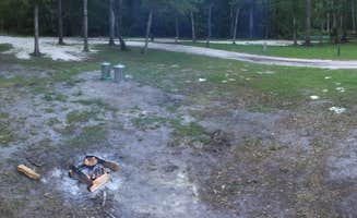 Savannah C.'s photo at Ruth B. Kirby Gilchrist Blue Springs State Park Campground near Archer, FL