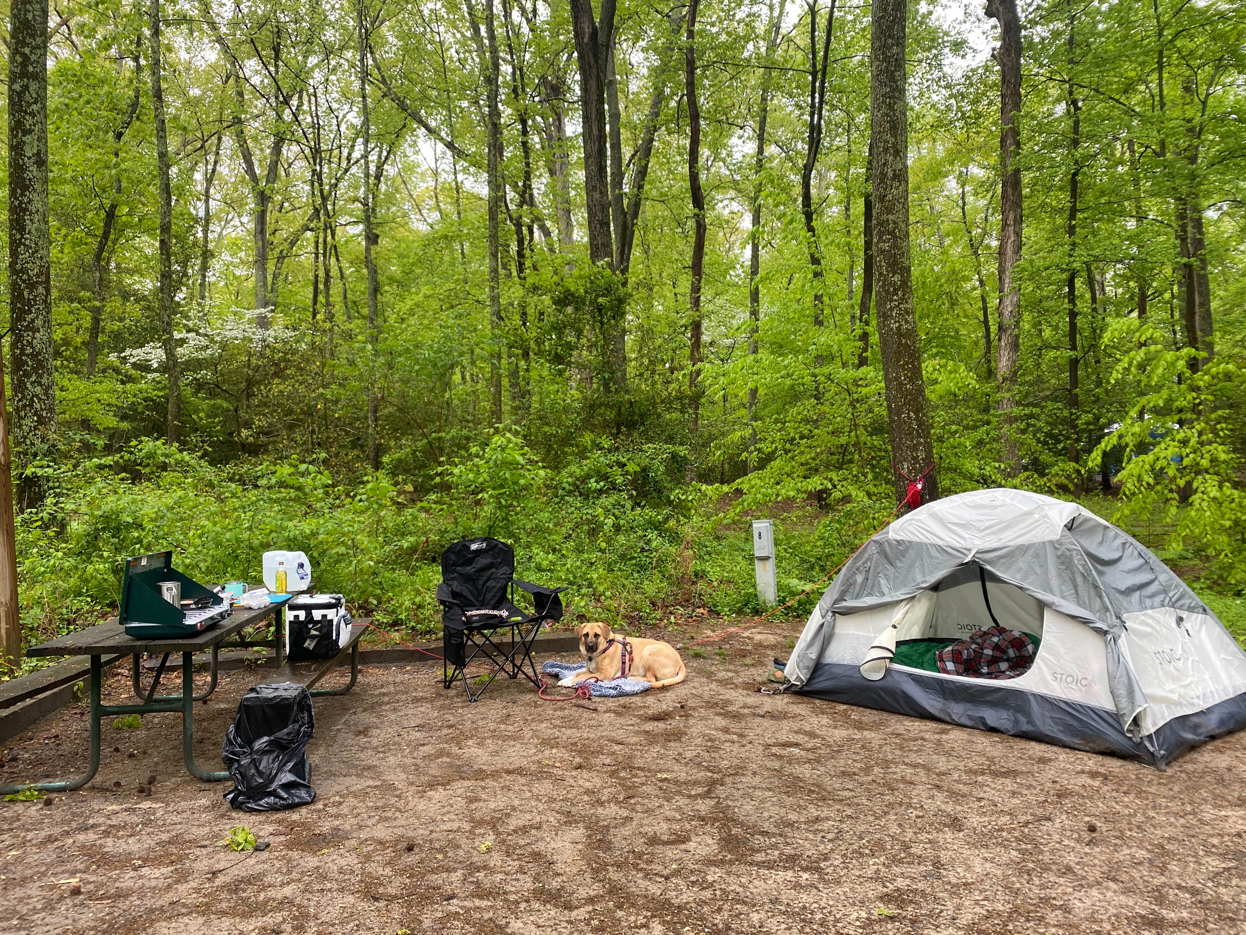 Camper-submitted photo at Smallwood State Park Campground - TEMPORARILY CLOSED THROUGH JULY 2023 near Charlotte Hall, MD